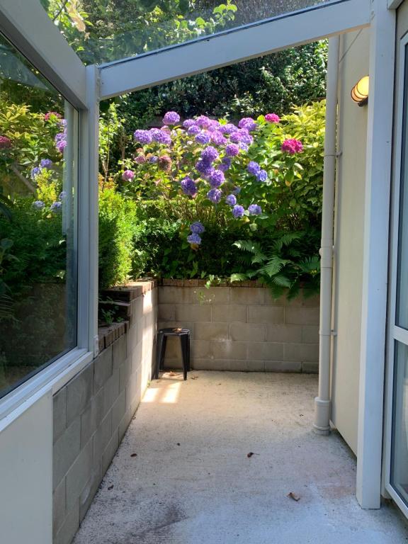 March Apartments - Resim 35