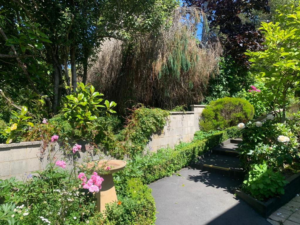 March Apartments - Resim 17