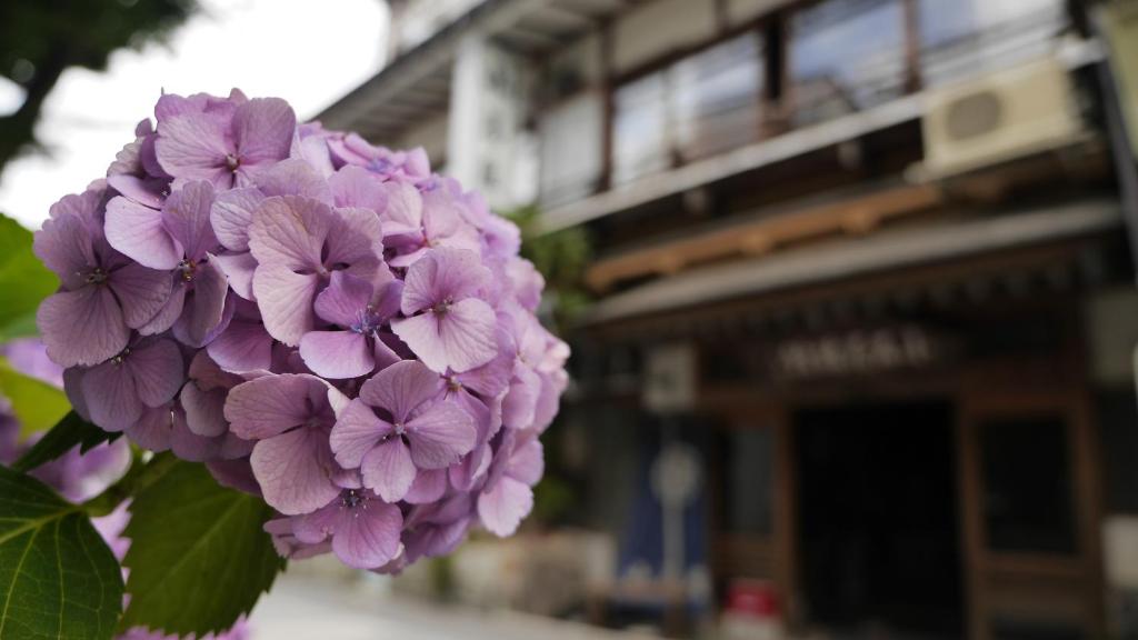 Fotografie z fotogalerie ubytování Shibu Onsen Koishiya Ryokan v destinaci Jamanouči