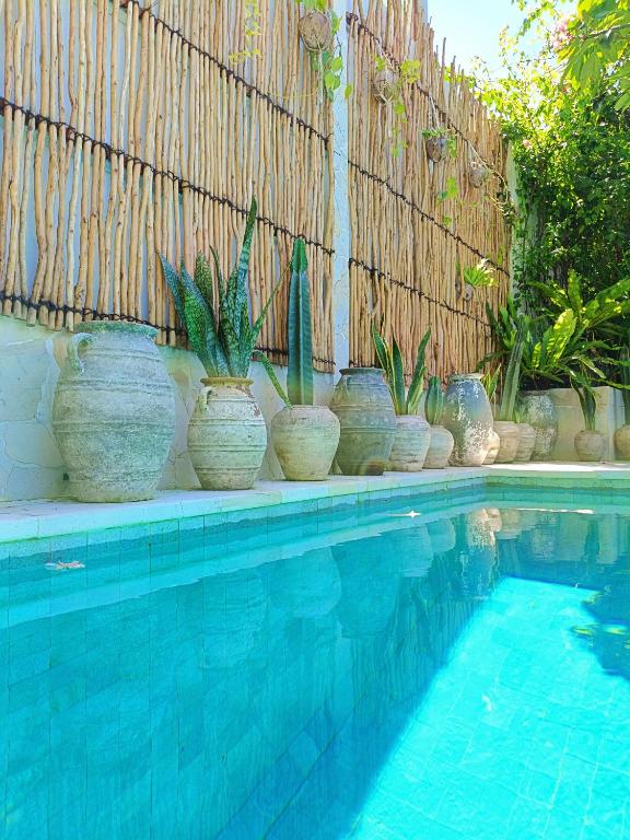a row of potted plants sitting next to a fence at Bale Sampan Boutique Bungalows in Gili Trawangan
