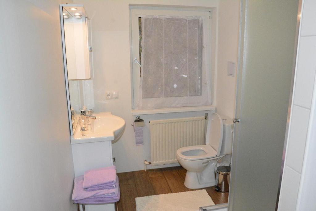 Seeblick Krippenstein - 6