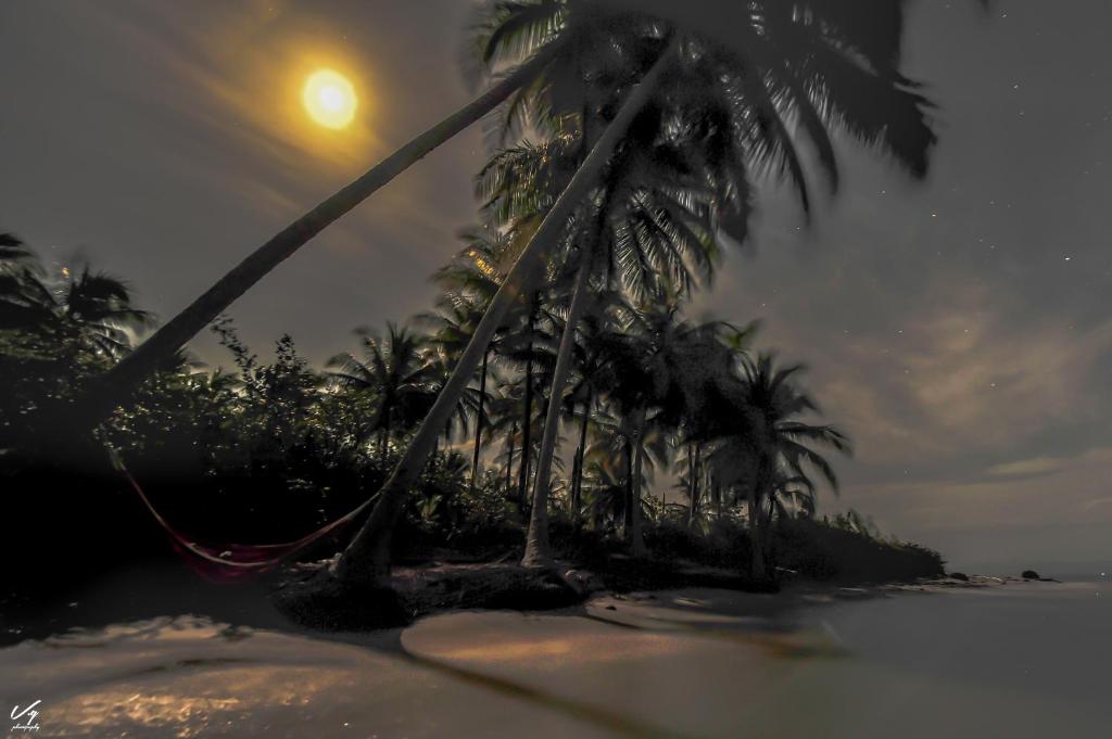 Fotografie z fotogalerie ubytování AQUA POINT CONDOS RENTALs v destinaci Bocas del Toro