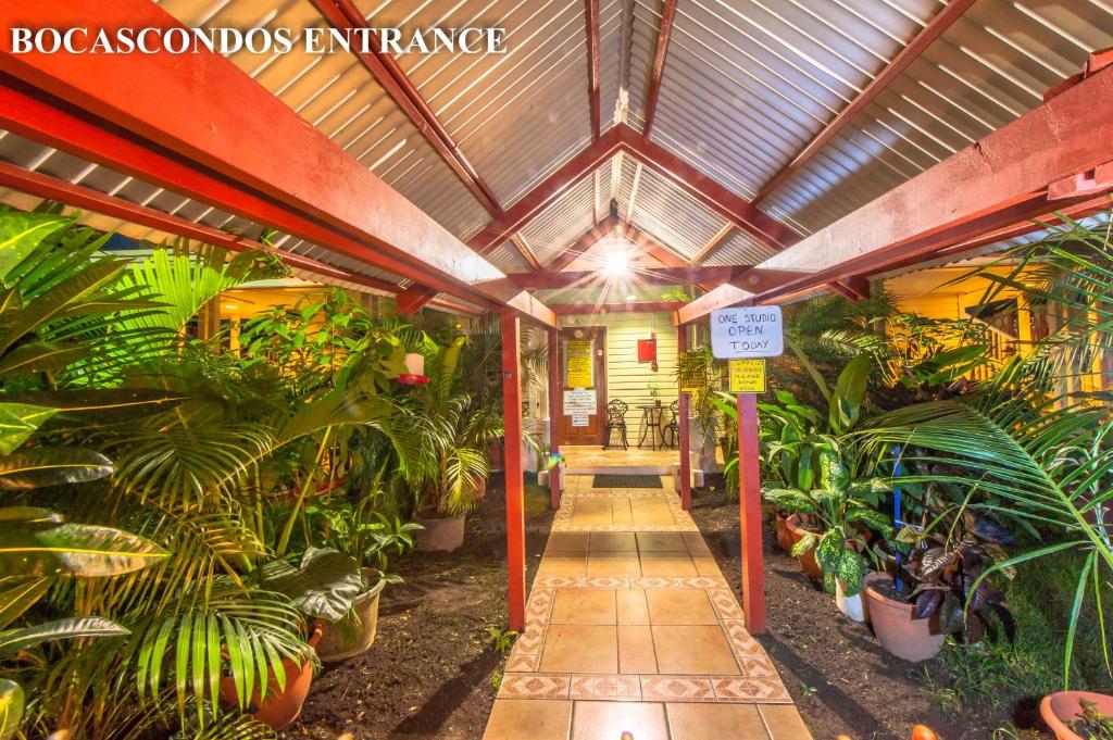 um corredor com plantas num edifício em AQUA POINT CONDOS RENTALs em Bocas Town