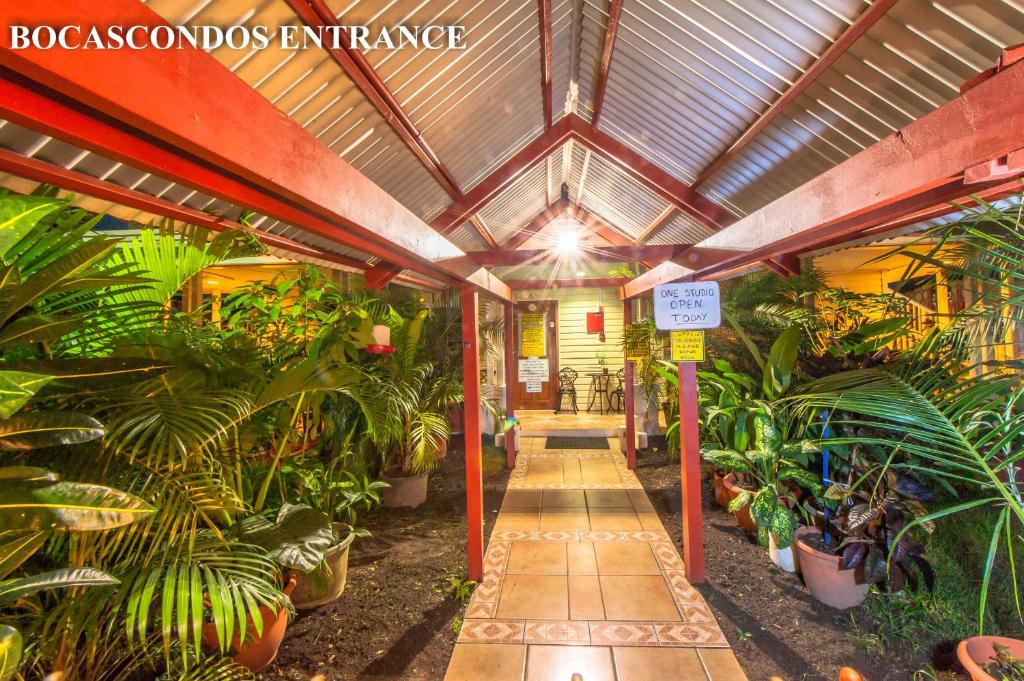 a hallway with plants in a building at AQUA POINT CONDOS RENTALs in Bocas Town