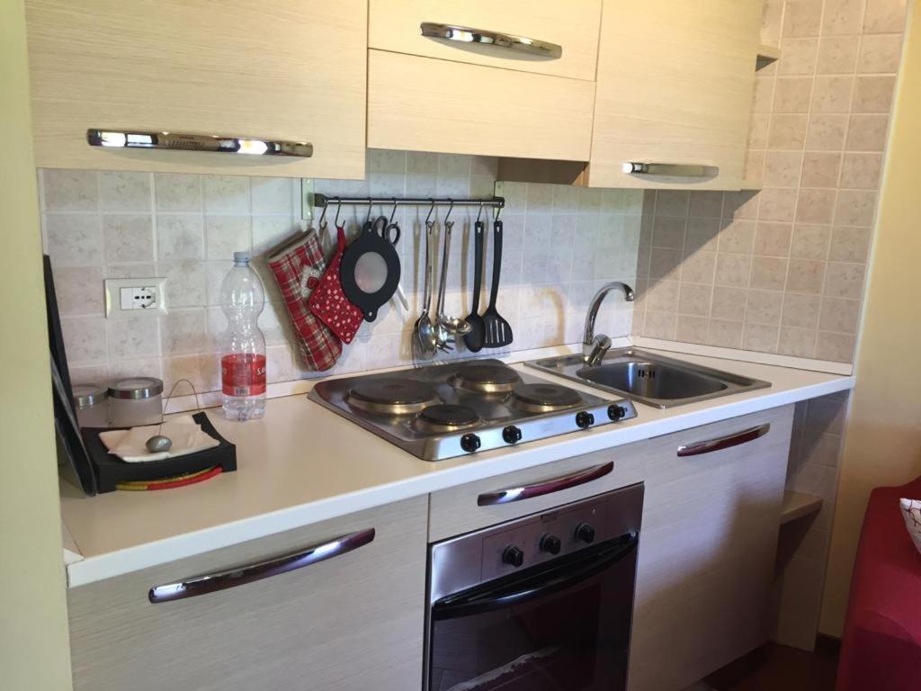 Kuchyň nebo kuchyňský kout v ubytování Residence Dei Walser