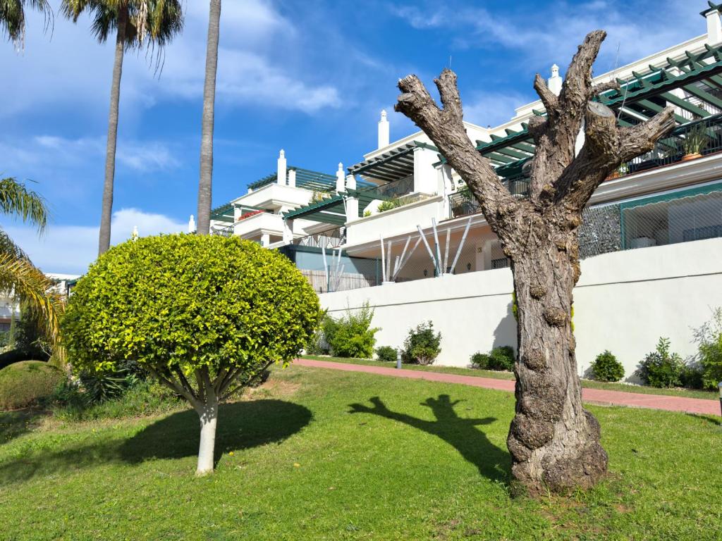 Vonkajšia záhrada v ubytovaní Apartamento Bajo con terraza en Lorcrimar V