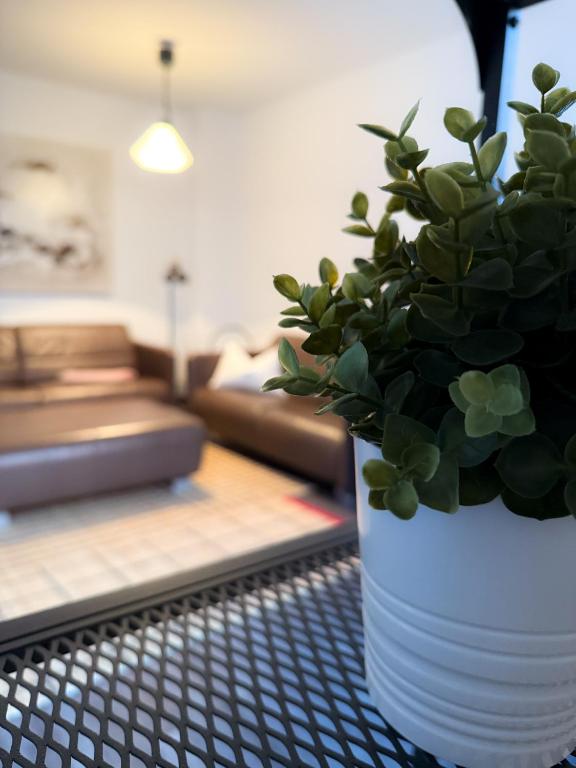 alexxanders Apartments & Studios - 13