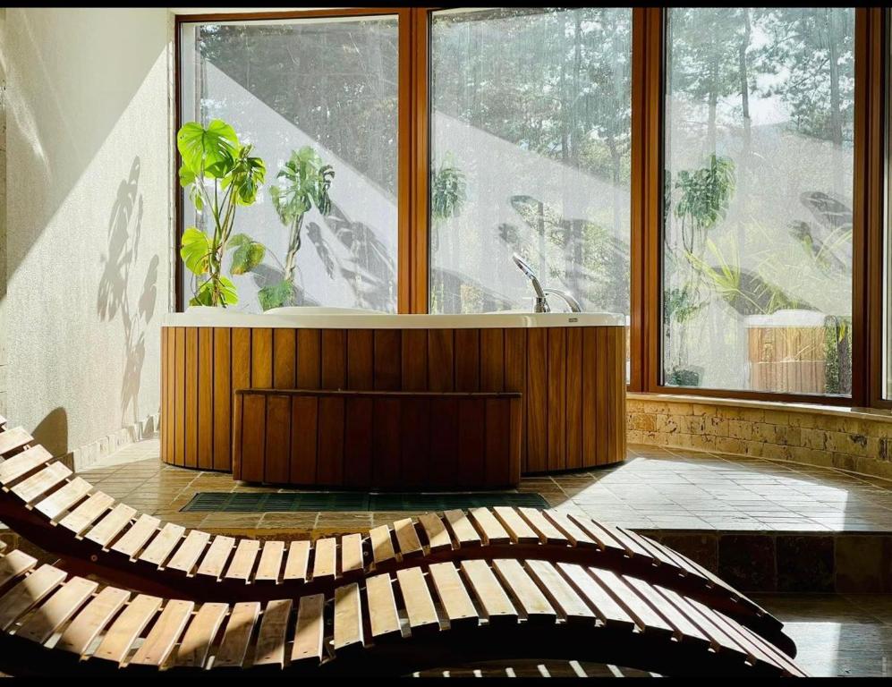 Fotografie z fotogalerie ubytování D Villa v destinaci Mineralni Bani