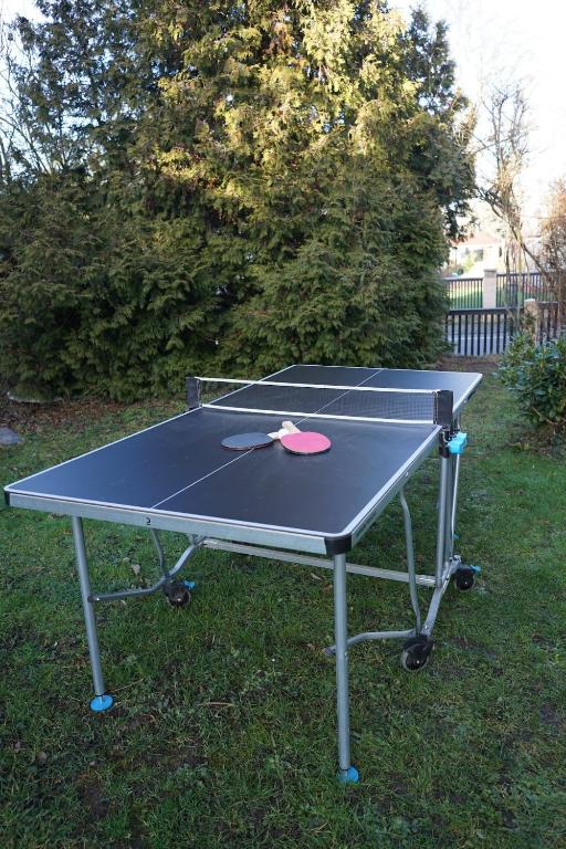 Stolní tenis v ubytování Gemütliche Wohnung in unmittelbarer Nähe zum See nebo okolí