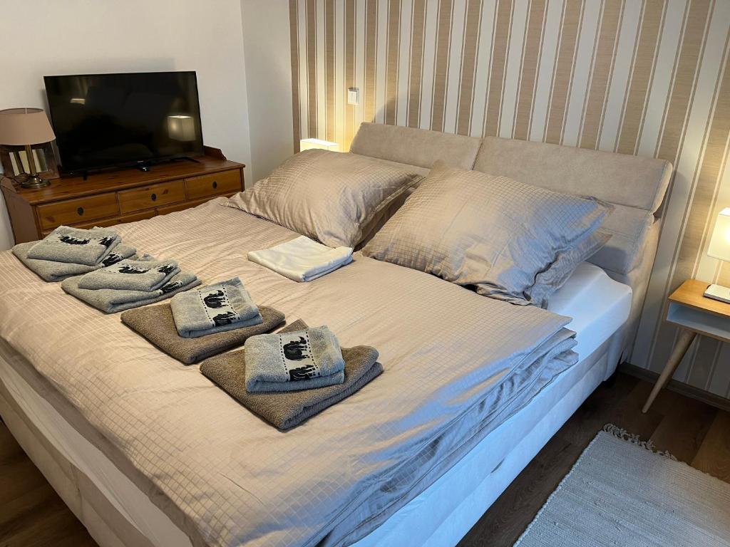 Postel nebo postele na pokoji v ubytování Apartmán Hruška Černý Důl
