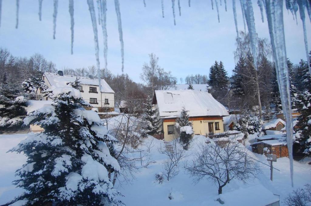a house is covered in snow in a yard at Ferienhaus Pöhlablick in Pöhla