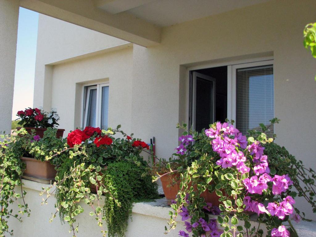 Zahrada ubytování Apartments 255