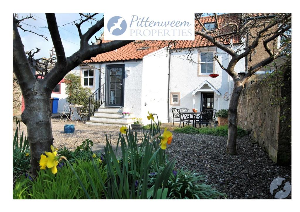 ein weißes Haus mit gelben Blumen davor in der Unterkunft Woods Neuk-stunning character cottage East Neuk in Pittenweem