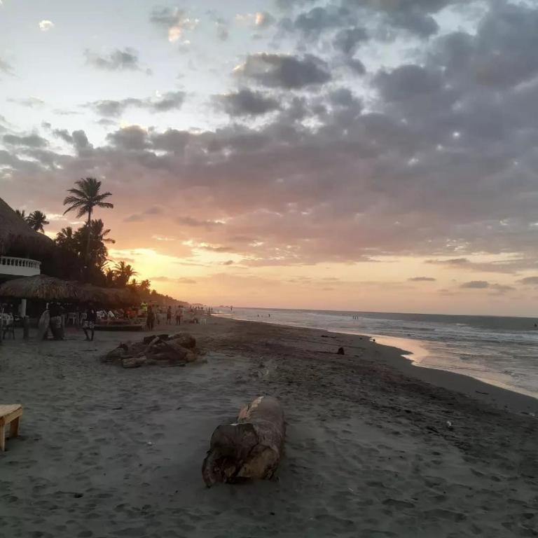 un grupo de animales yaciendo en la playa al atardecer en Cabañas Capilla Del Mar, en San Bernardo del Viento