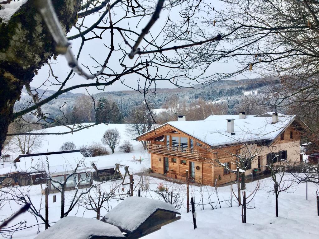 Το B&B Profumi nel bosco τον χειμώνα