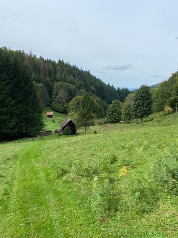 Příroda nedaleko apartmánu