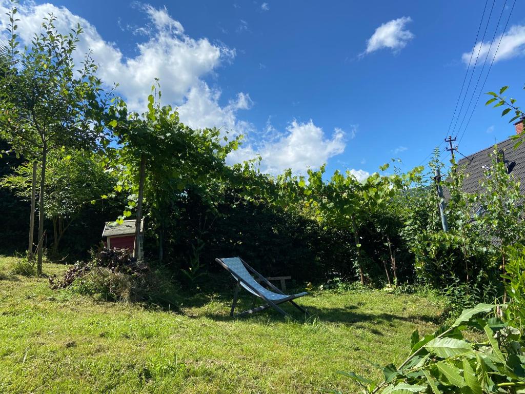 Zahrada ubytování Ferienwohnung Kräutergarten