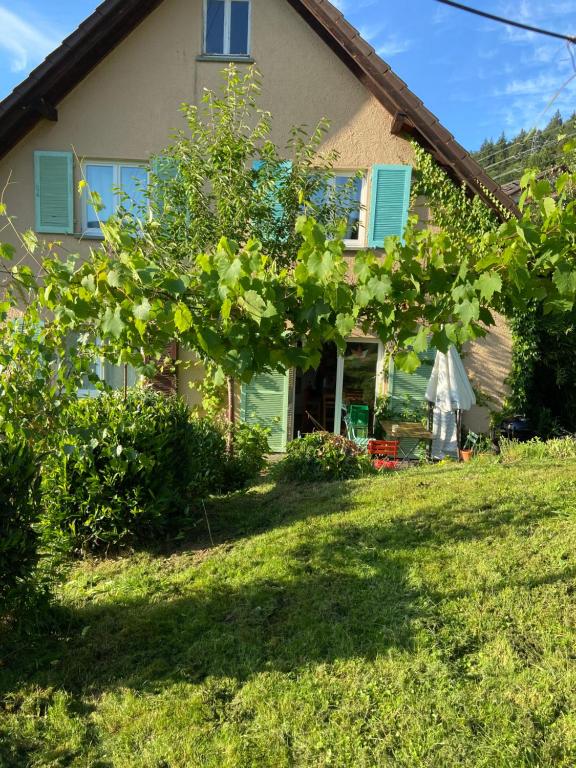 Zahrada ubytování Ferienwohnung Kräutergarten