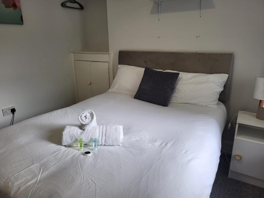 2 room Flat central Swansea