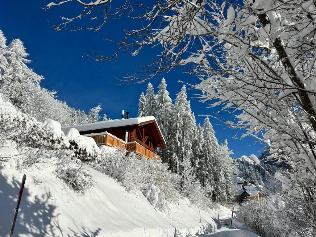 Chalet Chalet Les Pars by Interhome v zimě