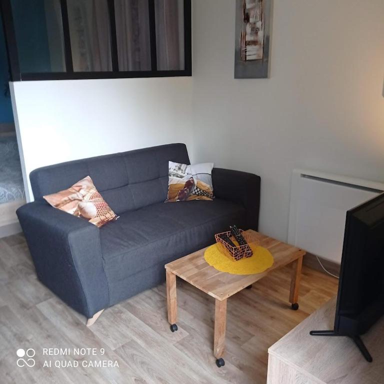 un salon avec un canapé bleu et une table basse dans l'établissement Le petit nid aux bords de vienne, à Limoges