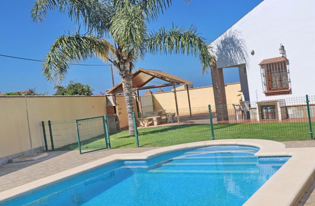 basen przed domem z palmą w obiekcie Chalet Vigía 114 w mieście Conil de la Frontera