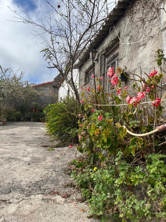 Galeriebild der Unterkunft ShivaKaliTemple in Agulo