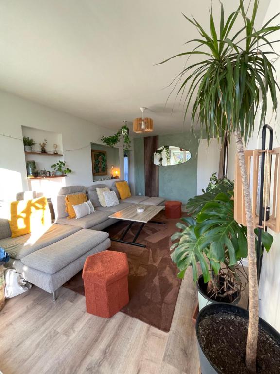 un salon avec un canapé et une table dans l'établissement Appartement T3 - forêt & plage, à Anglet