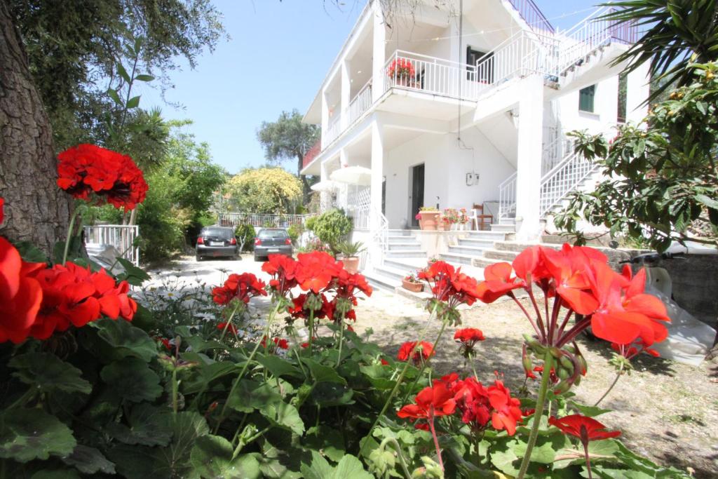 a house with red flowers in front of it at Angeliki Studio and Apartment in Gaios
