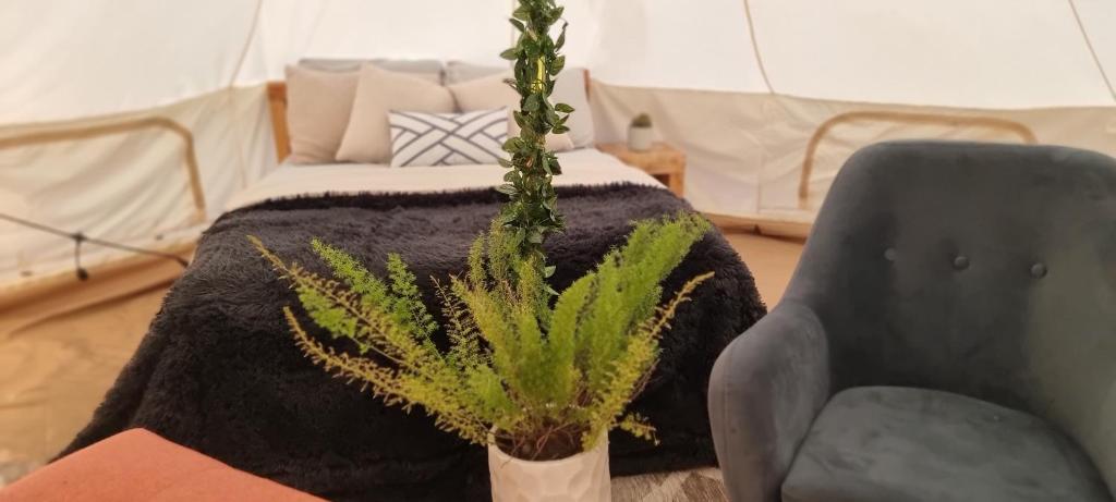 Posezení v ubytování El Sendero Glamping