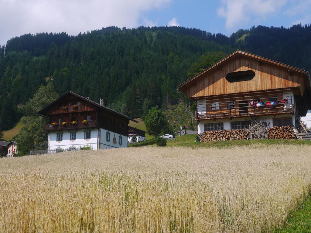 Příroda nedaleko apartmánu
