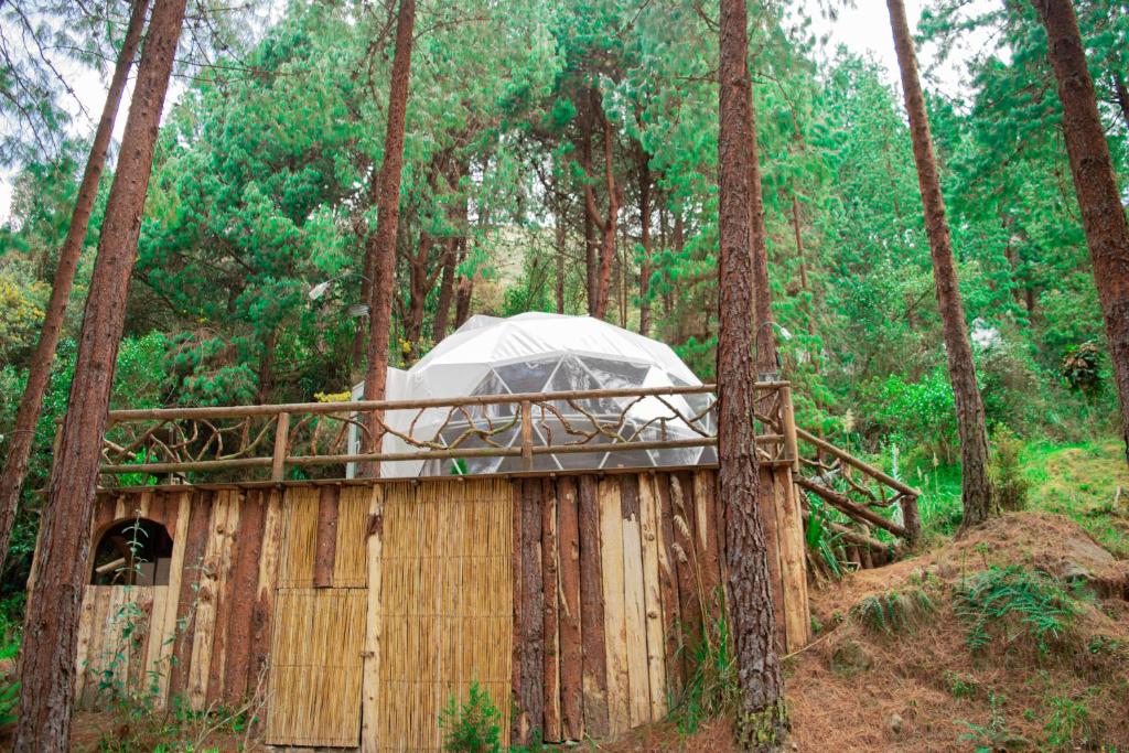 Příroda nedaleko luxury tent
