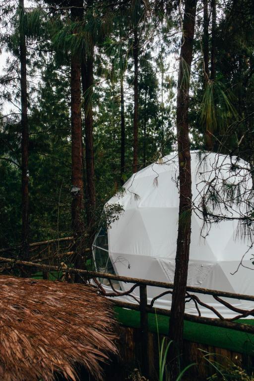 Fotografie z fotogalerie ubytování El Sendero Glamping v destinaci Cuenca