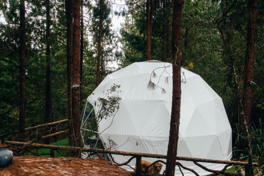 Fotografie z fotogalerie ubytování El Sendero Glamping v destinaci Cuenca
