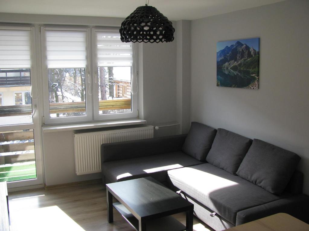 salon z kanapą i dwoma oknami w obiekcie Apartament Zakopane w Zakopanem