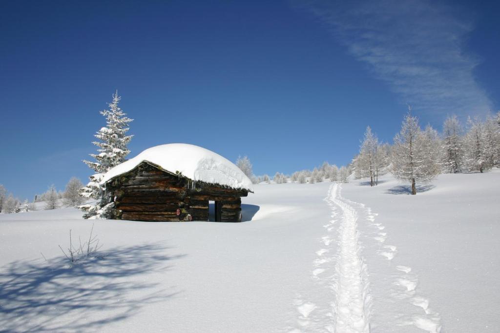 Bauernhof im Wiesengrund v zimě