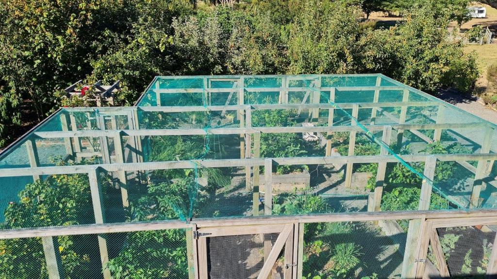 Bidwills Gem - Resim 11