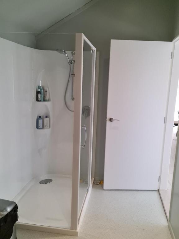 Bidwills Gem - Resim 8