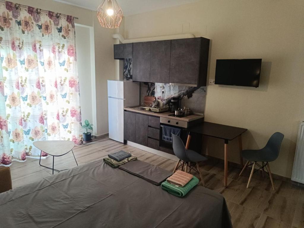 Volos city apartment