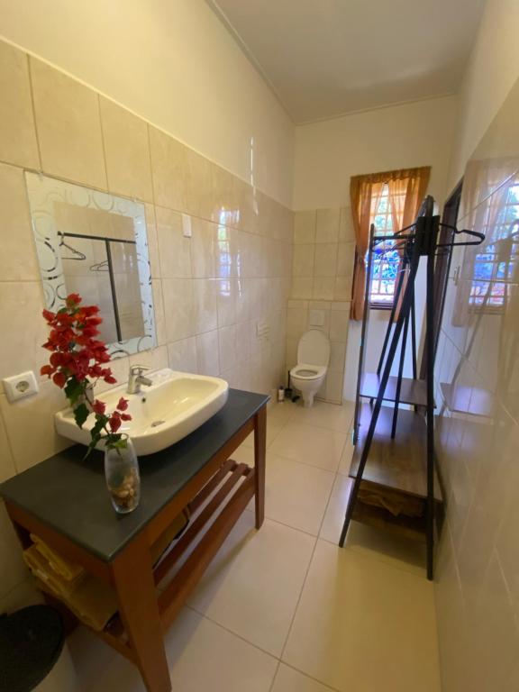 Зображення з фотогалереї помешкання DushiStudio у місті Віллемстад