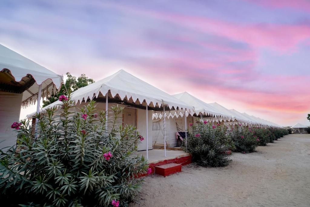 Zahrada ubytování Royal Adventure Jaisalmer Resort
