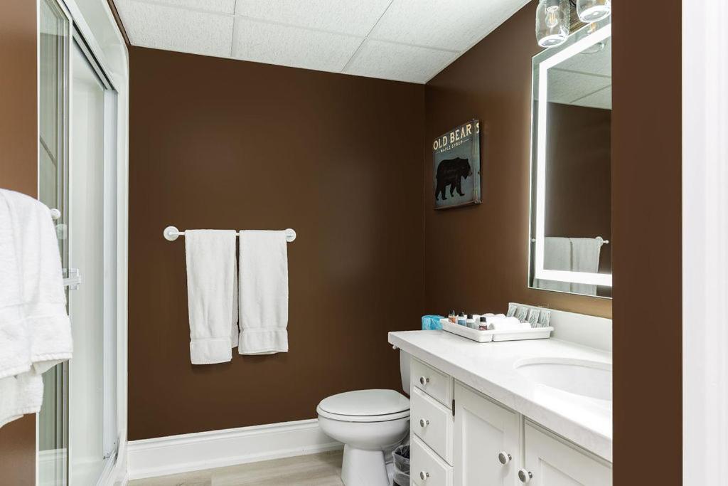 a bathroom with a toilet and a sink and a mirror at Fairy Bay Lakehouse in Huntsville