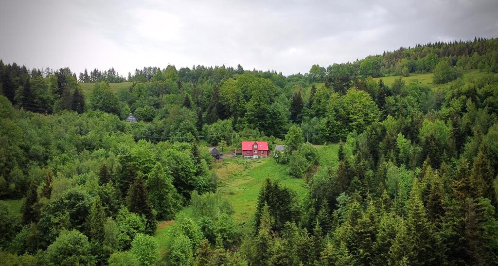 Príroda v okolí dovolenkového domu