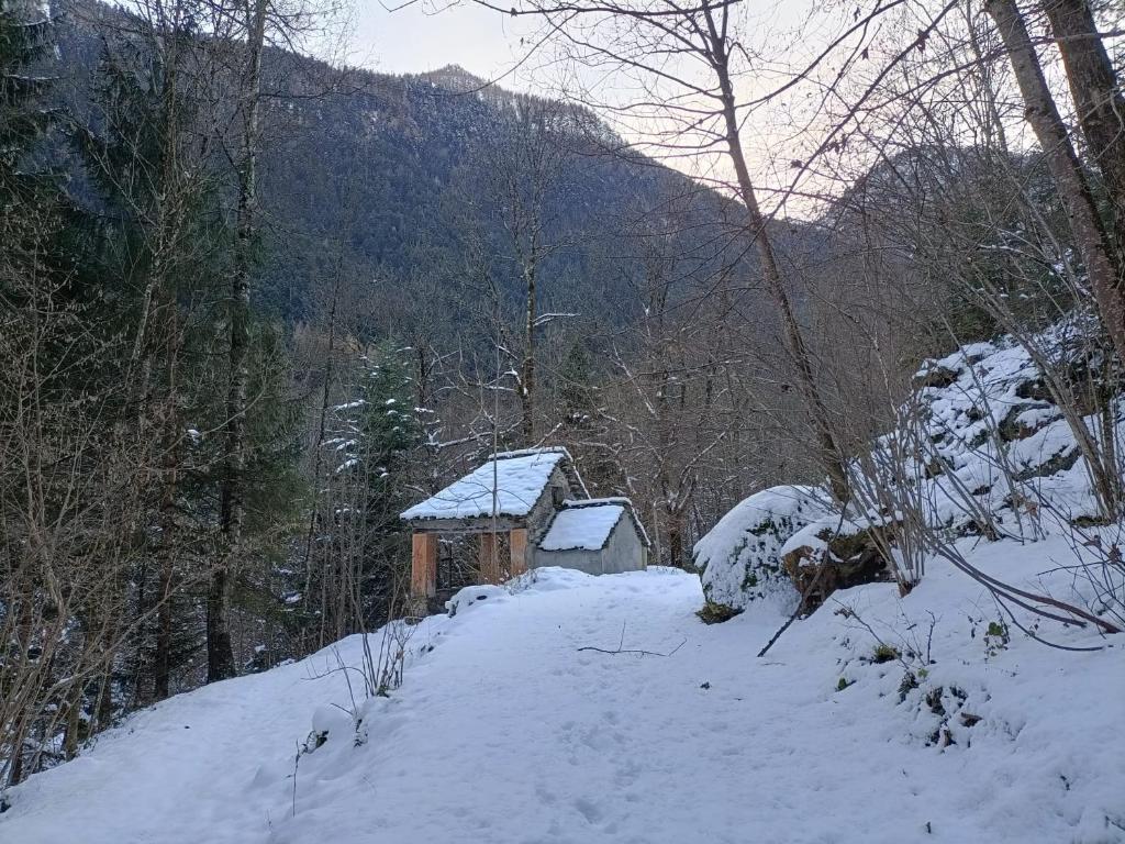 Chalet Casa dei Nonni að vetri til