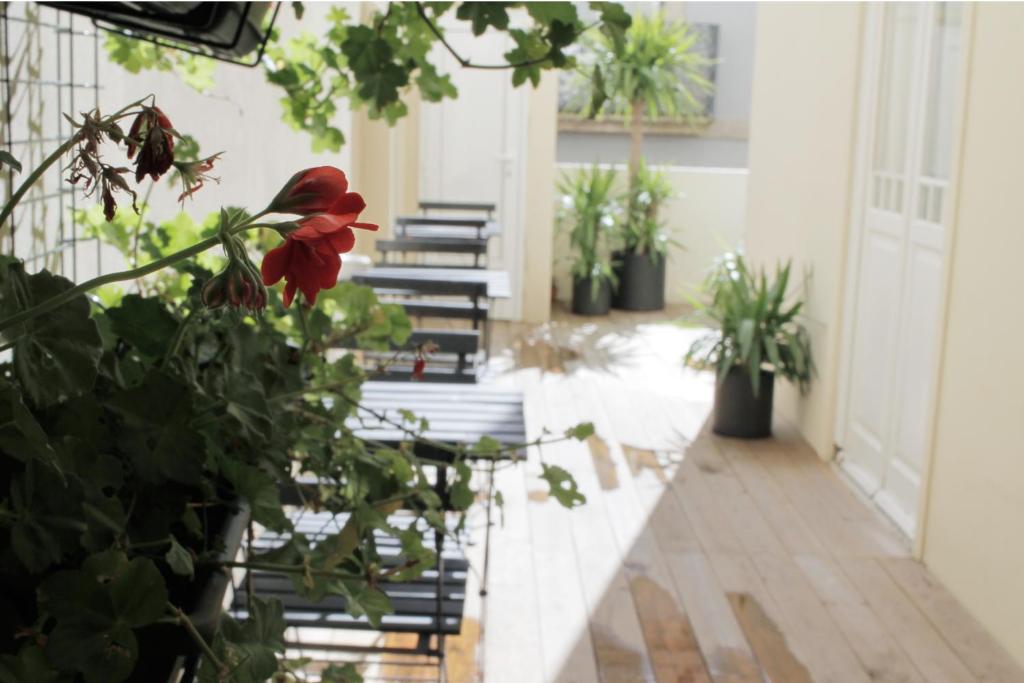 a room with benches with plants and a red flower at Baixa24 · City Center Private Sun Deck Apartment in Porto