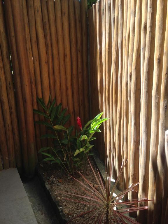  D'ajuda Flat