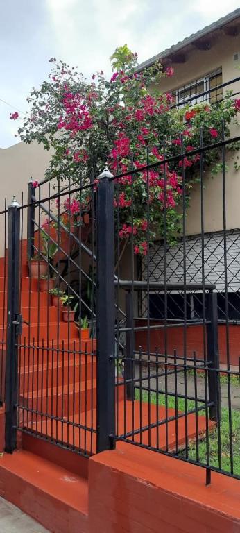 Alojamiento temporario 2