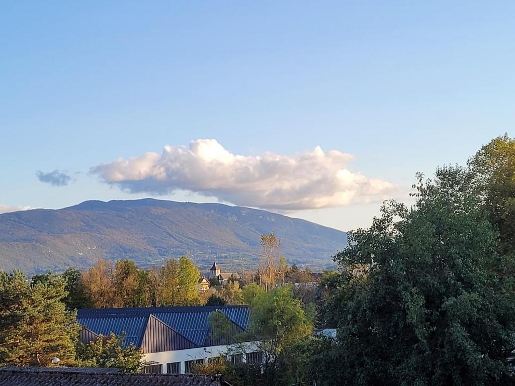 a view of a city with a mountain in the background at Appartement T3 calme avec belle vue in Poisy