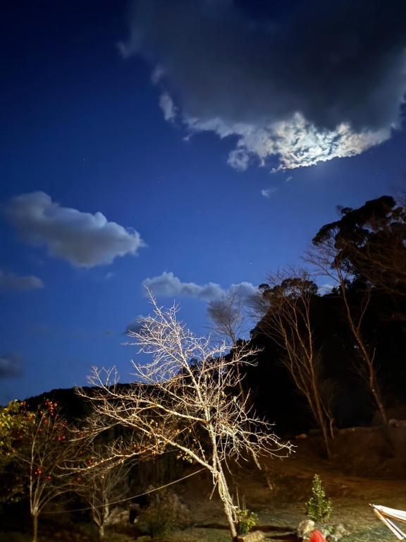 Fotografie z fotogalerie ubytování 新緑の南伊豆焚き火の宿ノキロ v destinaci Minamiizu
