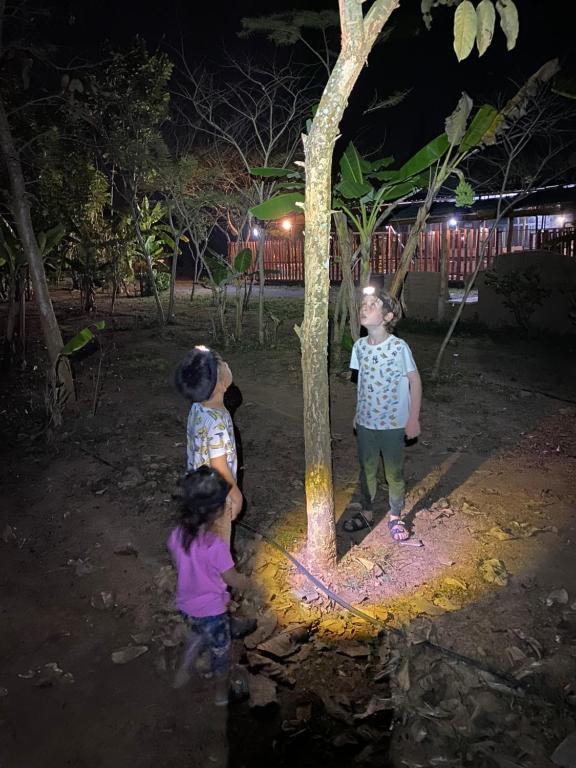 Hosté ubytování Baan Nork Farmstay บ้านนอก ฟาร์มสเตย์